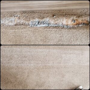 Before and after comparison of a damaged carpet edge after professional repair and cleaning by Belles Carpet Cleaning & Janitorial Inc. in Harrisburg, PA.