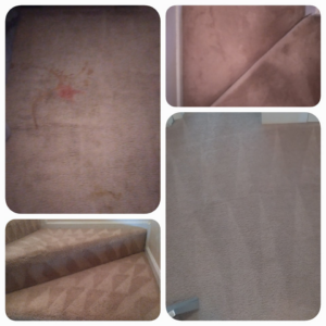 Before and after shots of carpet stain removal and cleaning by Clear Vision Carpet & Floor Care, Inc. in Newnan, GA.