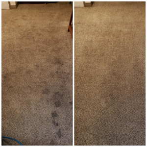 Before and after comparison of carpet stain removal by Dr. Scrub Carpet Cleaning in Houston, TX