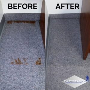 Before and after comparison of professional carpet stain removal by JP Carpet & Tile Care in Sherman Oaks, CA.