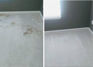 Before and after comparison of carpet stain removal by Professional Carpet Systems of Raleigh, NC