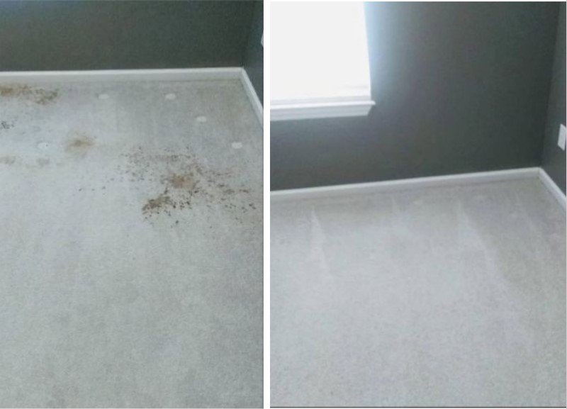Before and after comparison of carpet stain removal by Professional Carpet Systems of Raleigh, NC