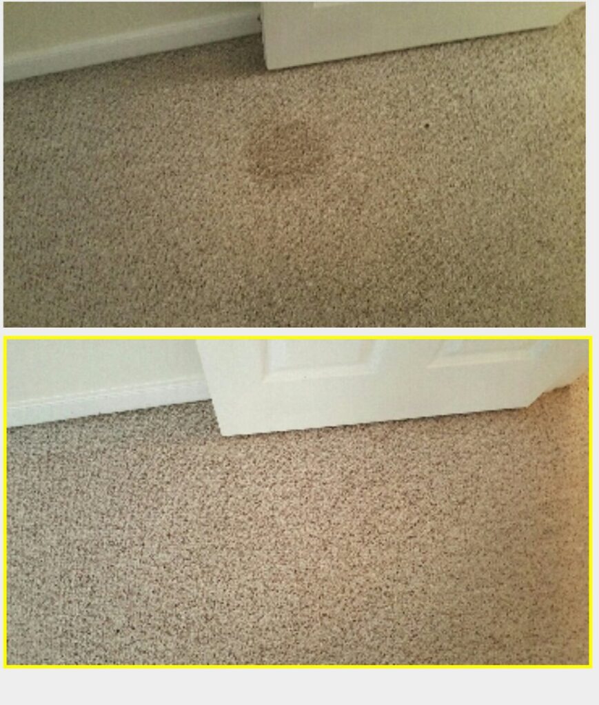 Before and after professional carpet stain removal by Richmond Kwik Dry Total Cleaning in Richmond, VA