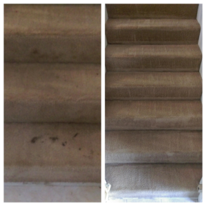 Before and after comparison of carpeted stairs cleaning by Sunrise Cleaning Services in Saint Petersburg, FL.