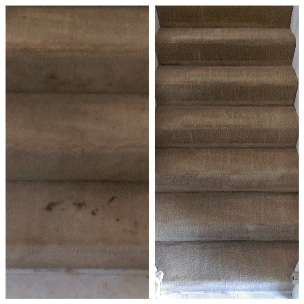 Before and after comparison of carpeted stairs cleaning by Sunrise Cleaning Services in Saint Petersburg, FL.