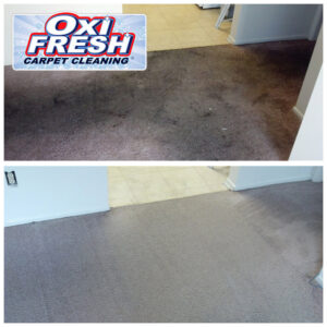 Before and after photo showing dark carpet stain removal by Oxi Fresh Carpet Cleaning in Las Vegas, NV.
