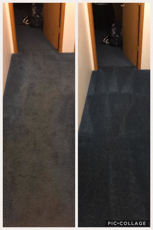 Before and after comparison of a dirty blue carpeted hallway cleaned by Mr. Steamer Carpet Cleaning in Springfield, OR