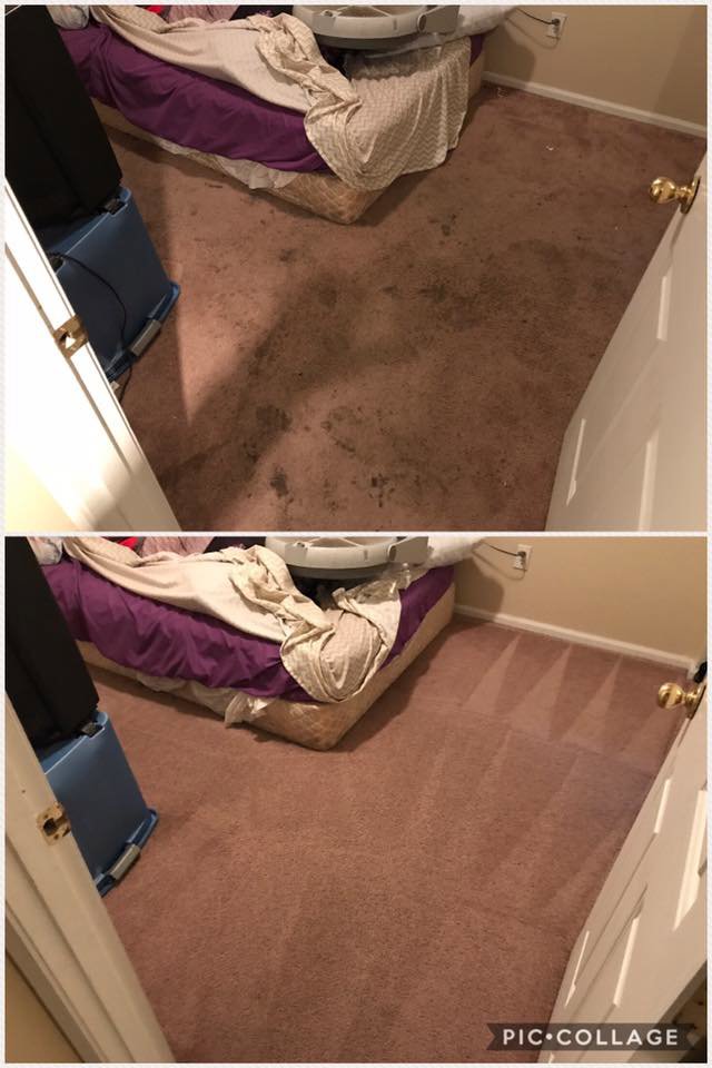 Before and after comparison of a dirty brown carpeted bedroom cleaned by Mr. Steamer Carpet Cleaning in Springfield, OR