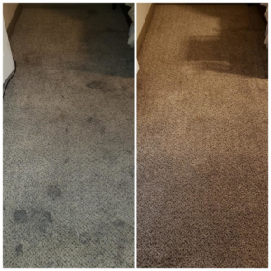 Before and after comparison of a dirty carpet after cleaning by Dr. Scrub Carpet Cleaning in Houston, TX