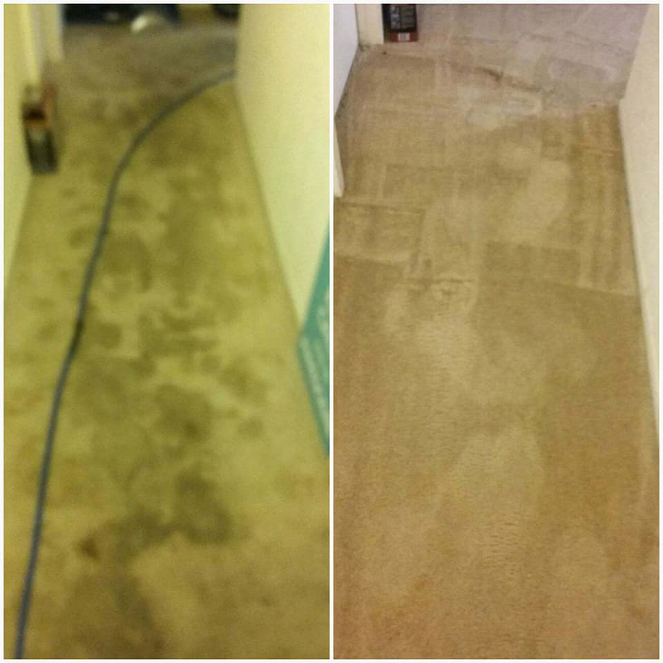 Before and after comparison of a heavily soiled carpet after cleaning by Fusioncarpetcleaning in Fort Walton Beach, FL