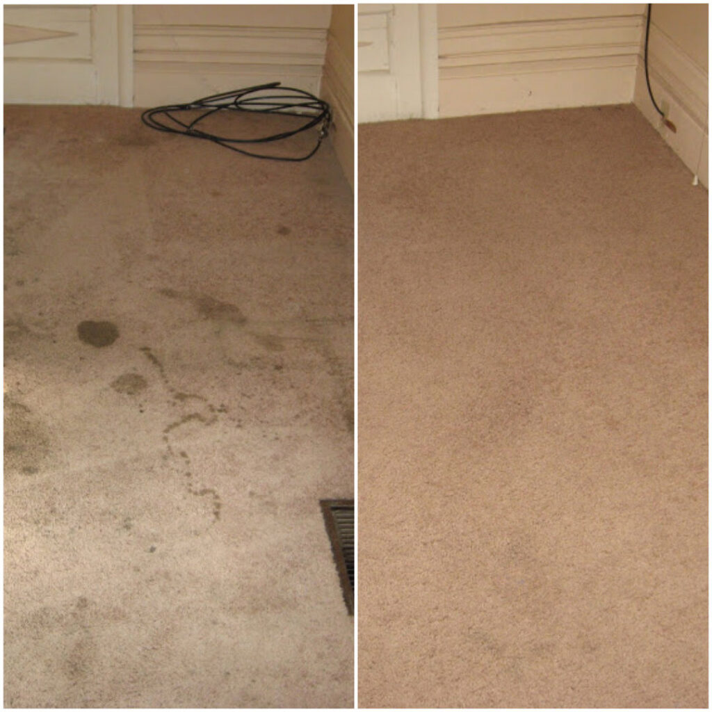 A side-by-side comparison showing dirty carpet before and clean carpet after service by Magic Clean Plus in Ann Arbor, MI.