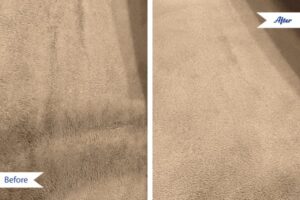 Before and after comparison of a dirty carpet after professional cleaning by Veterans Chem-Dry Music City in Nashville, TN.