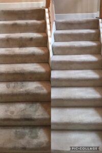 Before and after comparison of dirty carpeted stairs cleaned by Mr. Steamer Carpet Cleaning in Springfield, OR