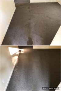 Before and after comparison of a dirty dark grey carpeted room cleaned by Mr. Steamer Carpet Cleaning in Springfield, OR