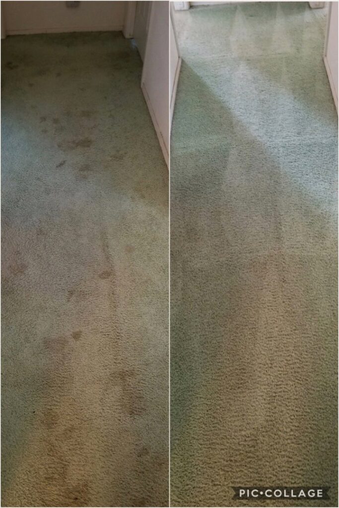 Before and after comparison of a dirty green carpeted hallway cleaned by Mr. Steamer Carpet Cleaning in Springfield, OR