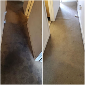 A side-by-side view showing a dirty hallway carpet before and after cleaning by Baymist Carpet Cleaning & Repair in Spokane, WA.
