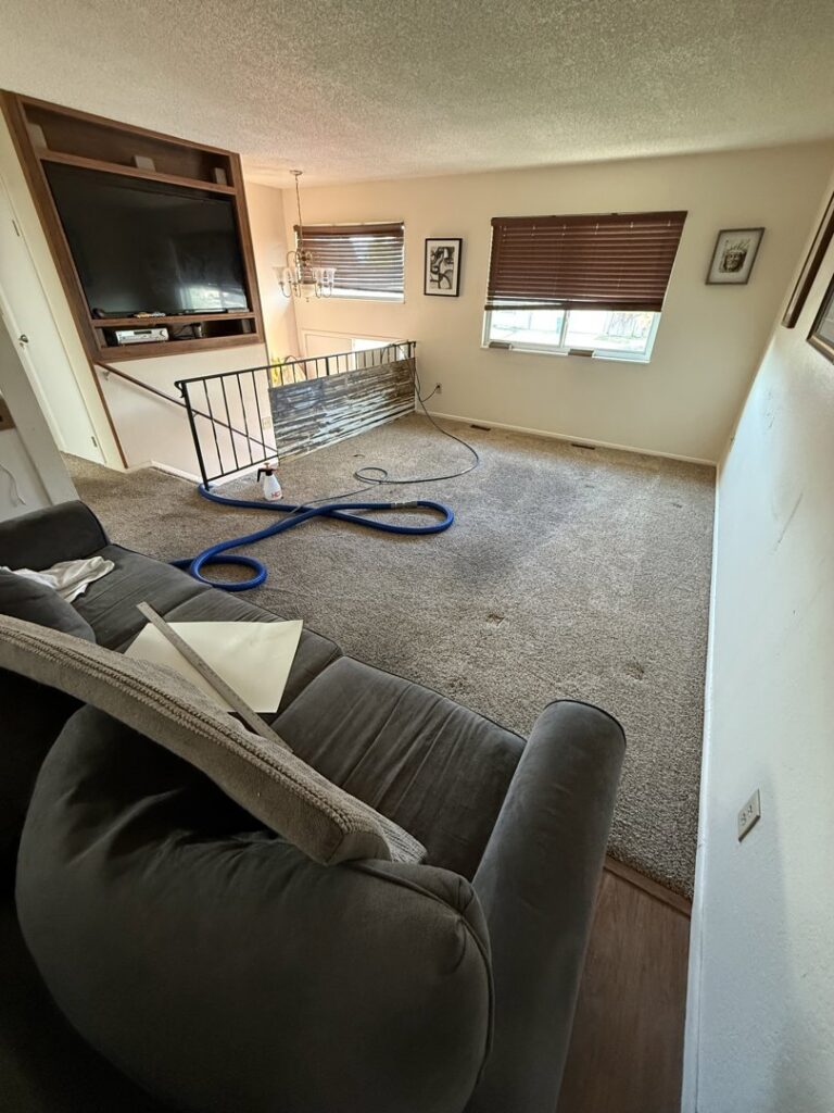 Before and after comparison of a carpeted area near a fireplace, showcasing professional cleaning by Hill's Magic Carpet Cleaning in Colorado Springs, CO.