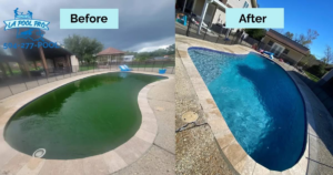 A before and after comparison showing a green, dirty pool transformed into a sparkling clean pool by La Pool Pro LLC in New Orleans, LA.