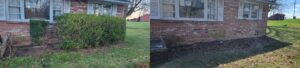 Before and after comparison of an overgrown hedge removed from a house foundation by Parks' Lawn Care in Hagerstown, MD.