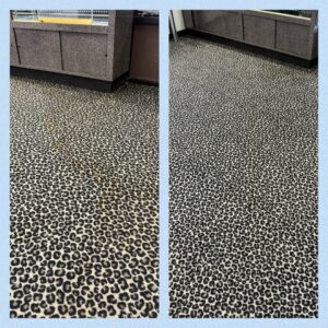 Before and after comparison of a leopard print carpet cleaned by Mystic Steam Carpet & Upholstery Cleaning in Long Beach, CA