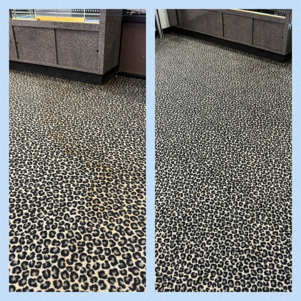 Before and after comparison of a leopard print carpet cleaning by Mystic Steam Carpet & Upholstery Cleaning in Long Beach, CA