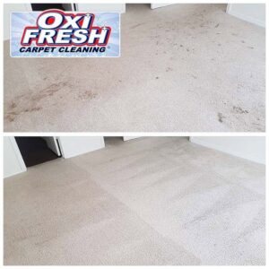 Before and after photo showing multiple carpet stains cleaned by Oxi Fresh Carpet Cleaning in Las Vegas, NV.