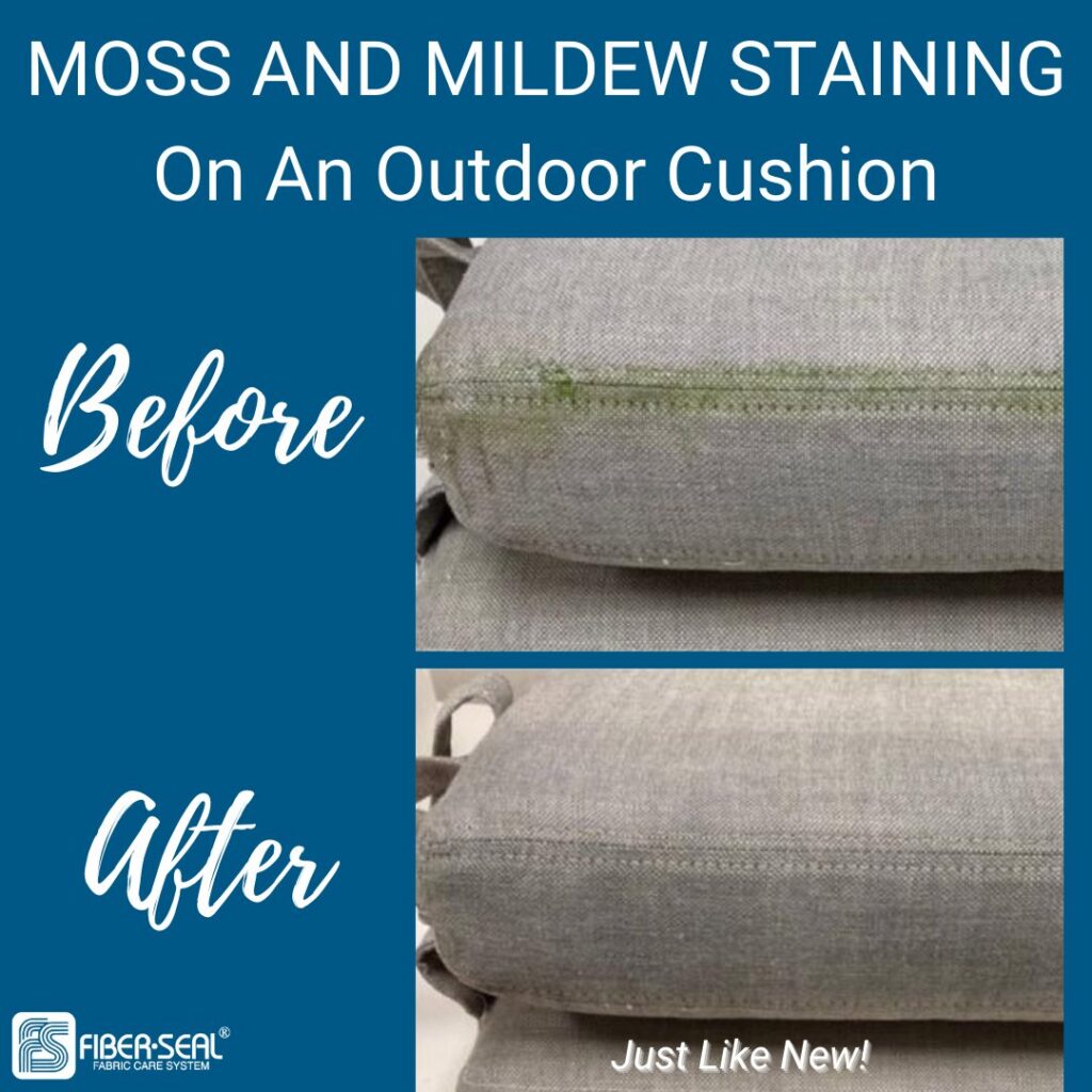 Before and after photos showing moss and mildew removed from an outdoor cushion by Fiber-Seal of North Texas in Dallas, TX