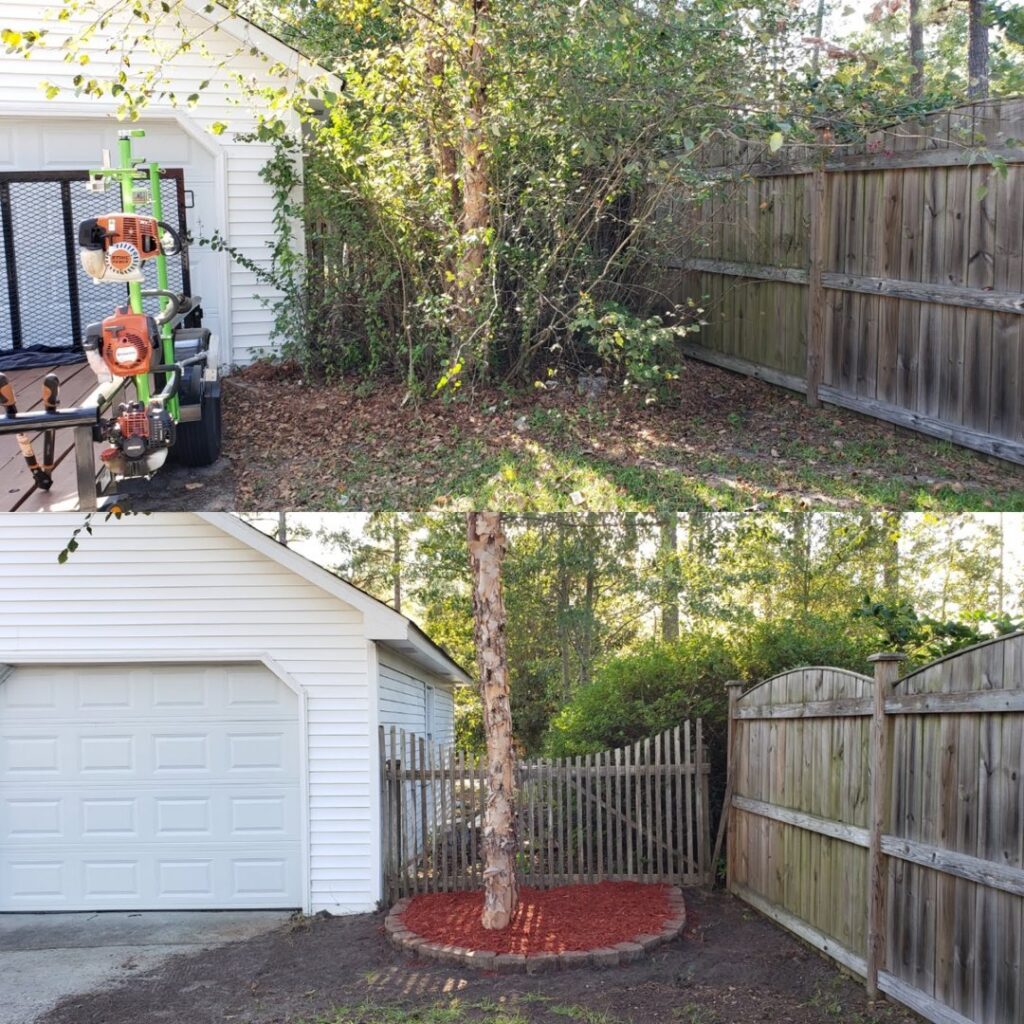 Dramatic before and after photos of an overgrown area transformed with cleanup and landscaping by Liberty LAWN Care in Sumter, SC.