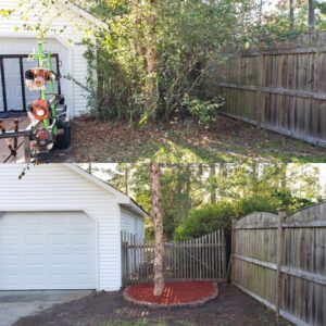 Dramatic before and after photos of an overgrown area transformed with cleanup and landscaping by Liberty LAWN Care in Sumter, SC.