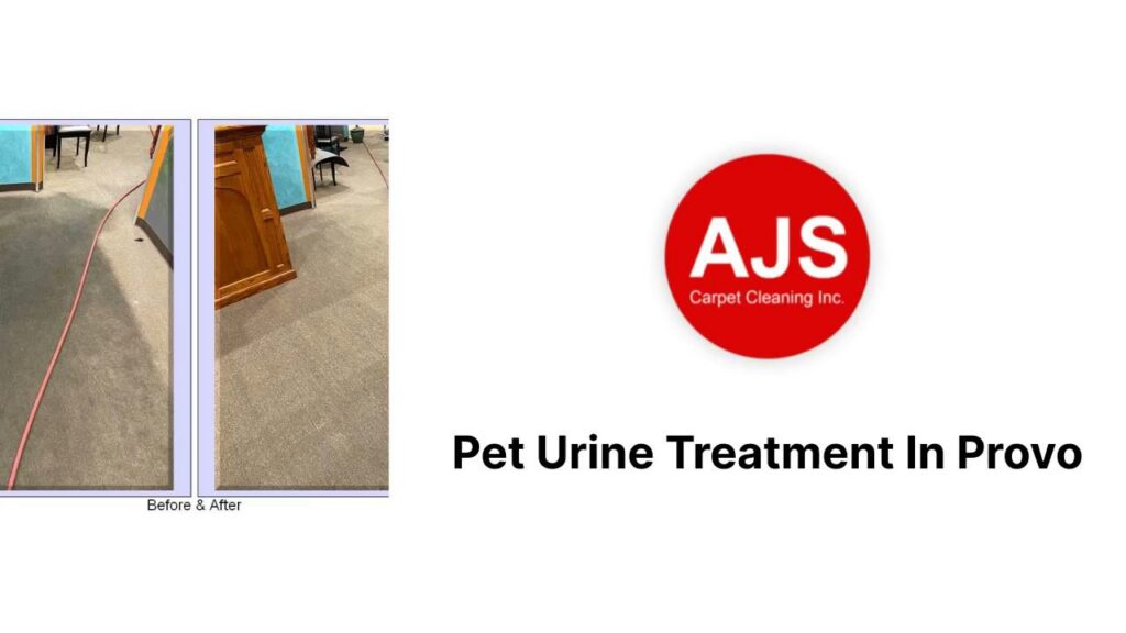 Before and after comparison of pet urine treatment and carpet cleaning by AJS Carpet Cleaning, Inc. in Orem, UT.