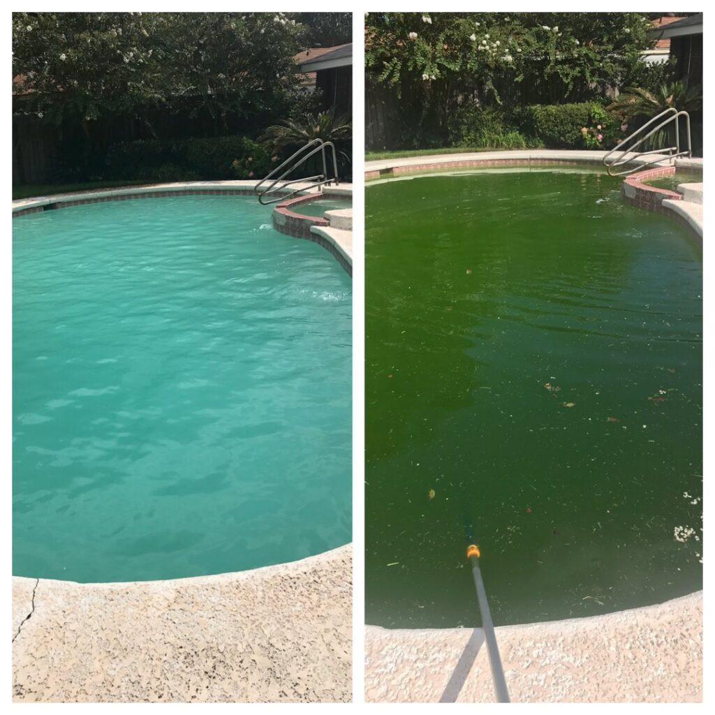 Before and after comparison of a pool cleaning, showing a green pool transformed to sparkling blue by Four Seasons Pool Services in Shreveport, LA.