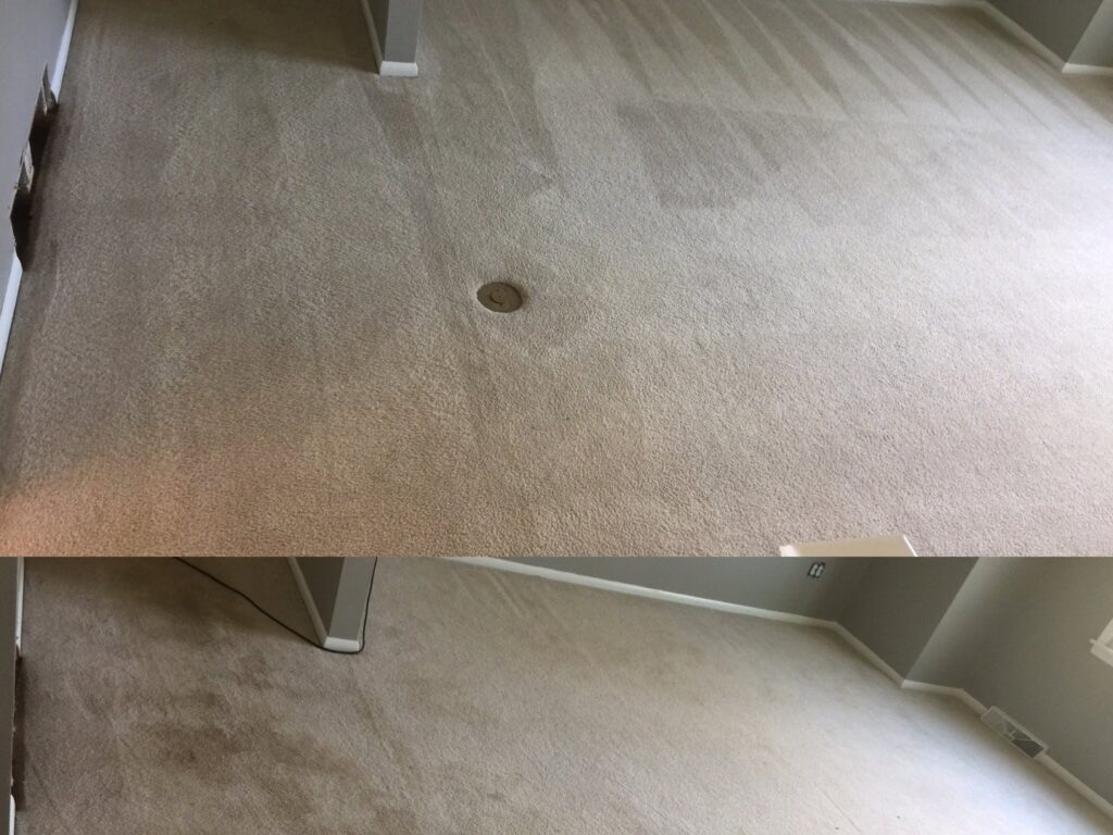 Before and after comparison of professional carpet cleaning services by Eco-Cleaning Services in Portland, OR.