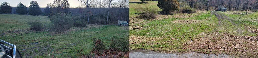Before and after view of a property showing significant clearing and maintenance work by Parks' Lawn Care in Hagerstown, MD.