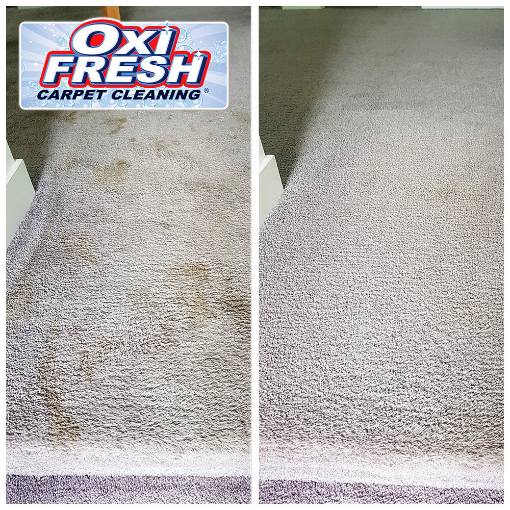 Before and after photo of residential carpet cleaning by Oxi Fresh Carpet Cleaning in Las Vegas, NV.