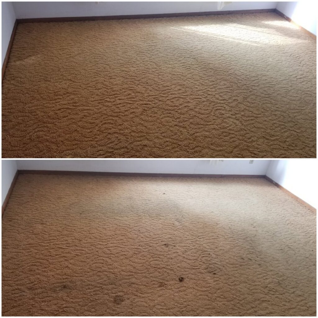 Before and after comparison of a room's carpet after professional cleaning by Baymist Carpet Cleaning & Repair in Spokane, WA.