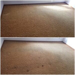 Before and after comparison of a room's carpet after professional cleaning by Baymist Carpet Cleaning & Repair in Spokane, WA.