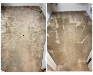Before and after comparison of a room's carpet after professional cleaning by Carpet Kingz in Houston, TX