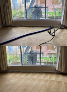 A before and after split image showing a room's carpet being cleaned and its fresh, clean appearance by Dalia's Carpet Cleaning in San Francisco, CA.