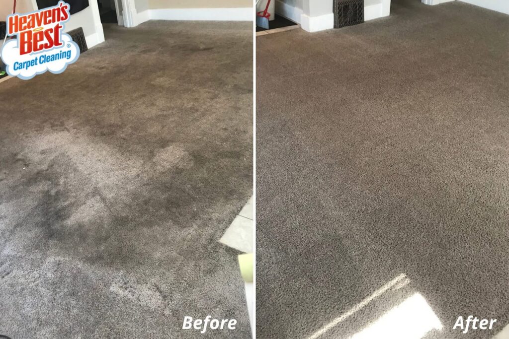Before and after comparison of a large room's carpet professionally cleaned by Heaven's Best Carpet Cleaning in Concord, NC.