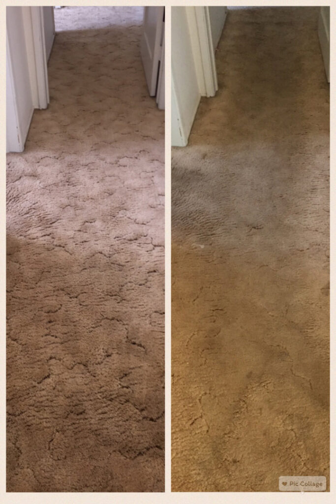 Before and after comparison of a brown shag carpet cleaning by Mystic Steam Carpet & Upholstery Cleaning in Long Beach, CA