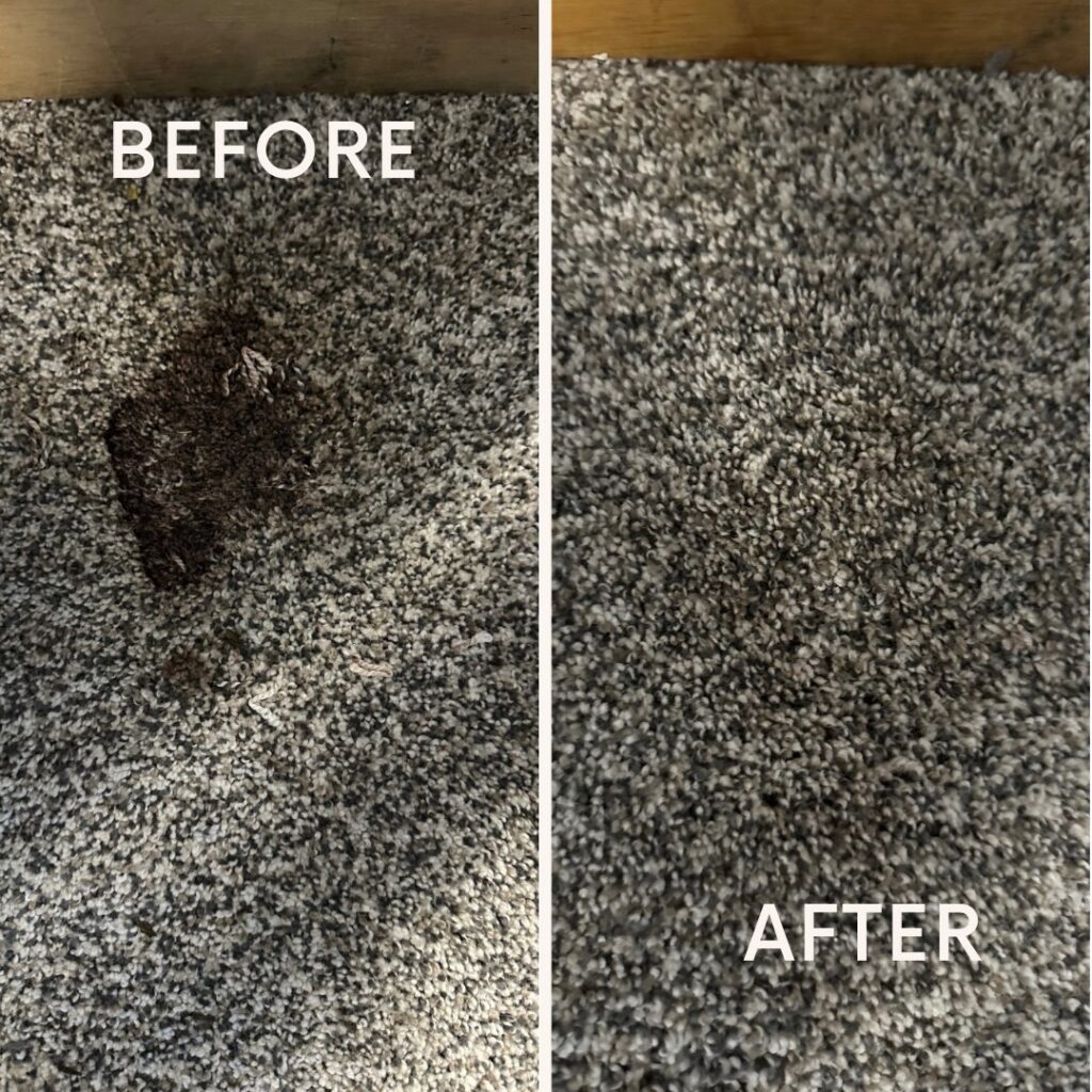 Before and after comparison of a stained grey carpet cleaned by Champion Chem-Dry in Idaho Falls, ID.