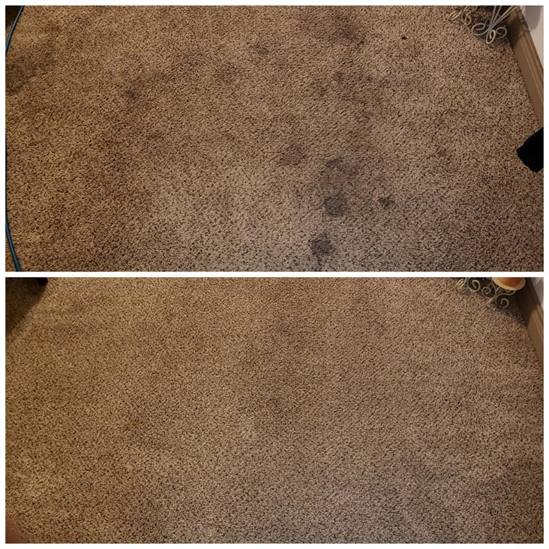 Before and after comparison of a stained carpet after cleaning by Dr. Scrub Carpet Cleaning in Houston, TX