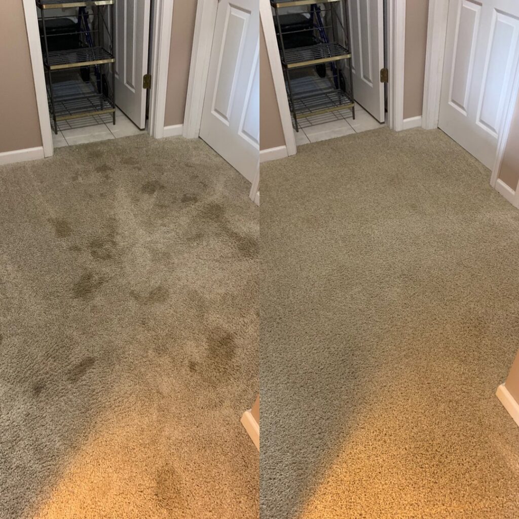 Before and after view of a stained carpet expertly cleaned by Evansville Kwik Dry Total Cleaning in Evansville, IN.