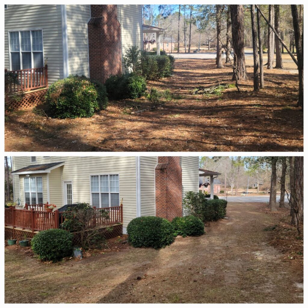 Before and after photos demonstrating thorough yard cleanup and bush trimming services by Liberty LAWN Care in Sumter, SC.