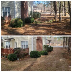 Before and after photos demonstrating thorough yard cleanup and bush trimming services by Liberty LAWN Care in Sumter, SC.