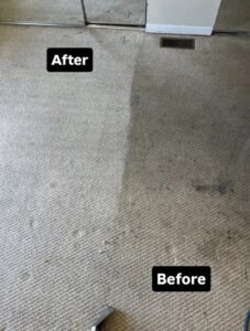 A clear before and after comparison of carpet cleaning results by Carpet Cleaners Plus in Chicago, IL, showing significant improvement.