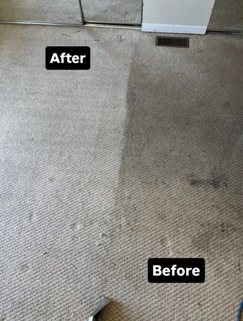 A clear before and after comparison of carpet cleaning results by Carpet Cleaners Plus in Chicago, IL, showing significant improvement.