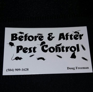 Before and After Pest Control