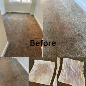 Dirty carpeted areas and soiled towels before professional cleaning by Express Cleaning in Lowell, MA