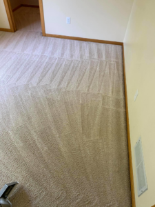 A clean light beige carpet with distinct vacuum or cleaning lines, showcasing professional carpet service by Agwa's carpet core in Minneapolis, MN.